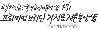 ׹Ͽ콺