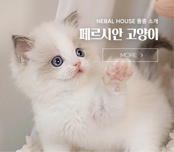 �丣�þ� ������