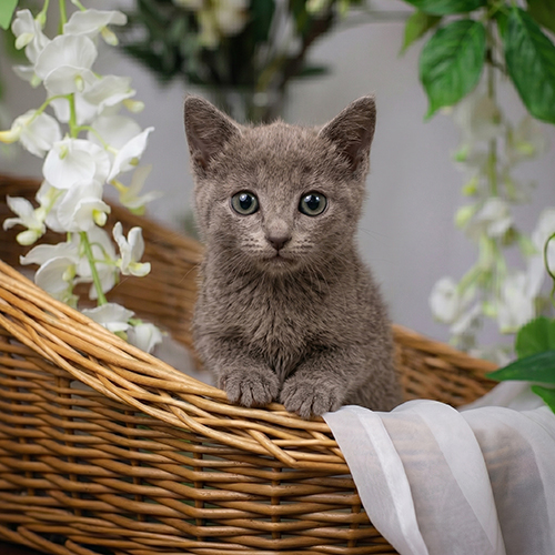�����̾��о�_120260618154610.jpeg