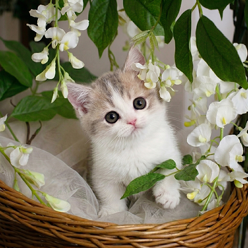 �����̾��о�_120260618160156.jpeg