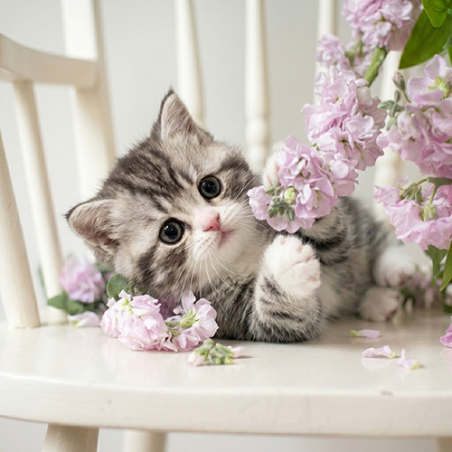 �����̾��о�_120260618162125.jpeg