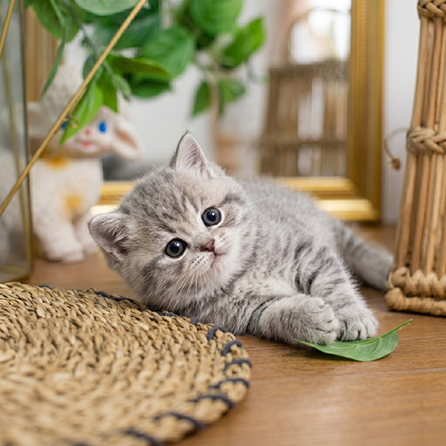 �����̾��о�_120260618162844.jpeg