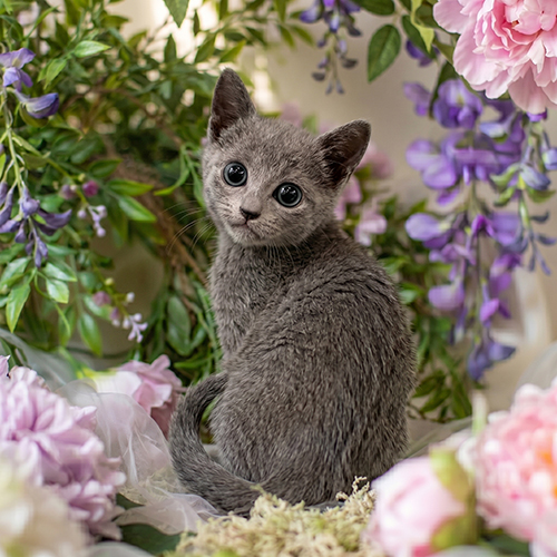 �����̾��о�_120260618174723.jpeg