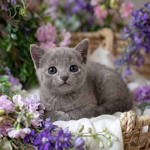 �����̾��о�_120260626161259.jpeg