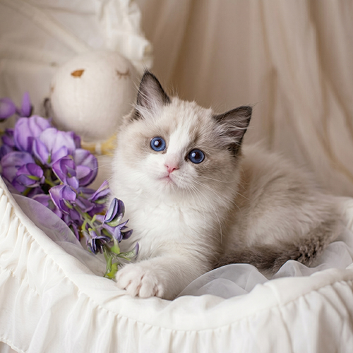 �����̾��о�_120260626161534.jpeg