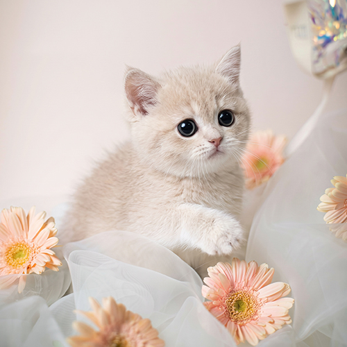 �����̾��о�_120260626171140.jpeg