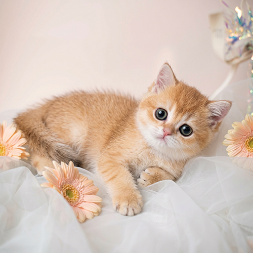 �����̾��о�_120260701160855.jpeg