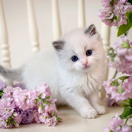 �����̾��о�_120260702142709.jpeg