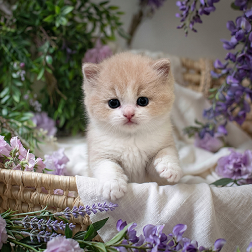 �����̾��о�_120260702152213.jpeg