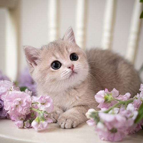 �����̾��о�_120260724152217.jpeg