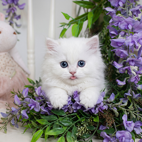 �����̾��о�_120260727174925.jpeg